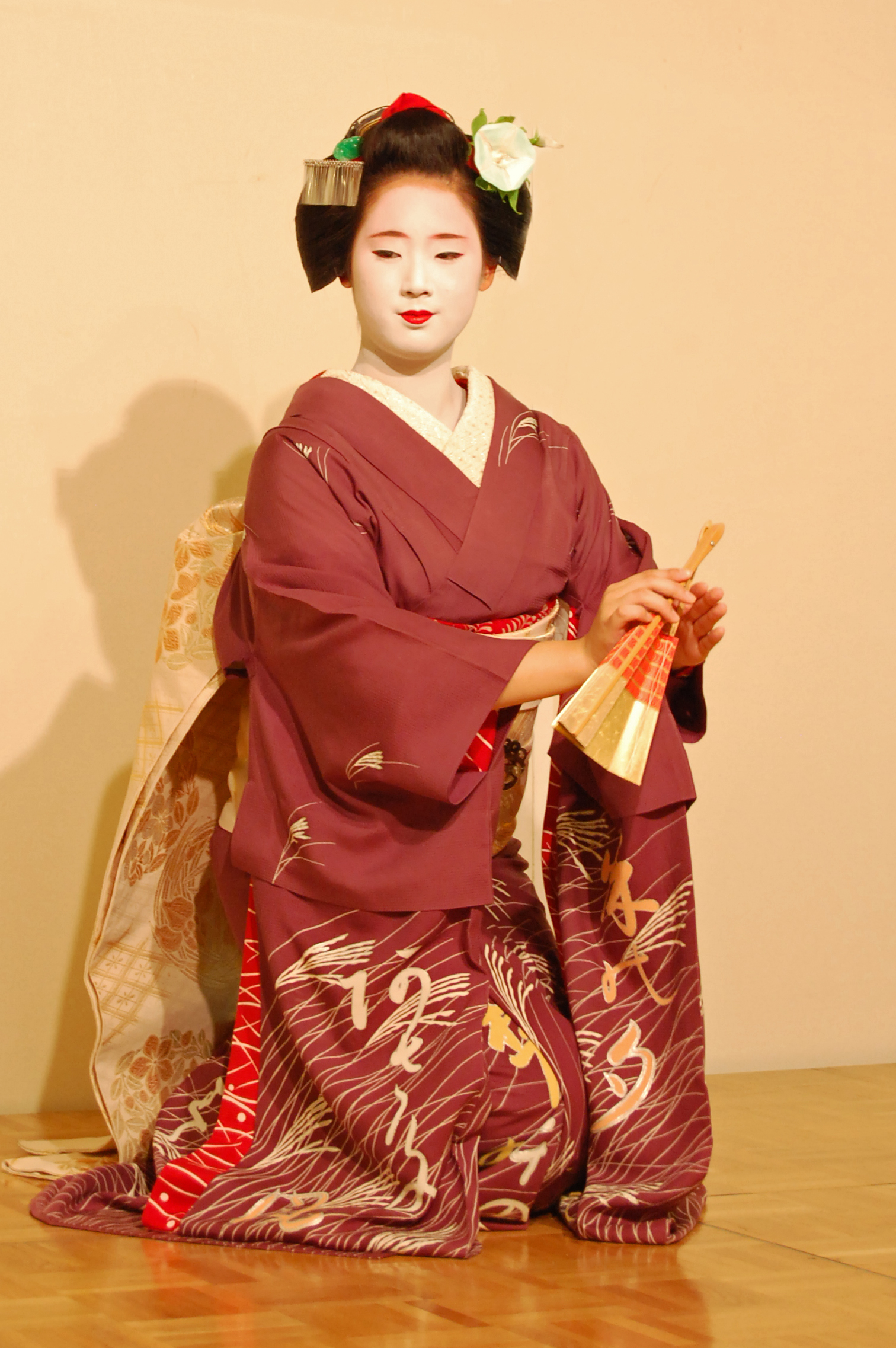 Geisha, Kyoto