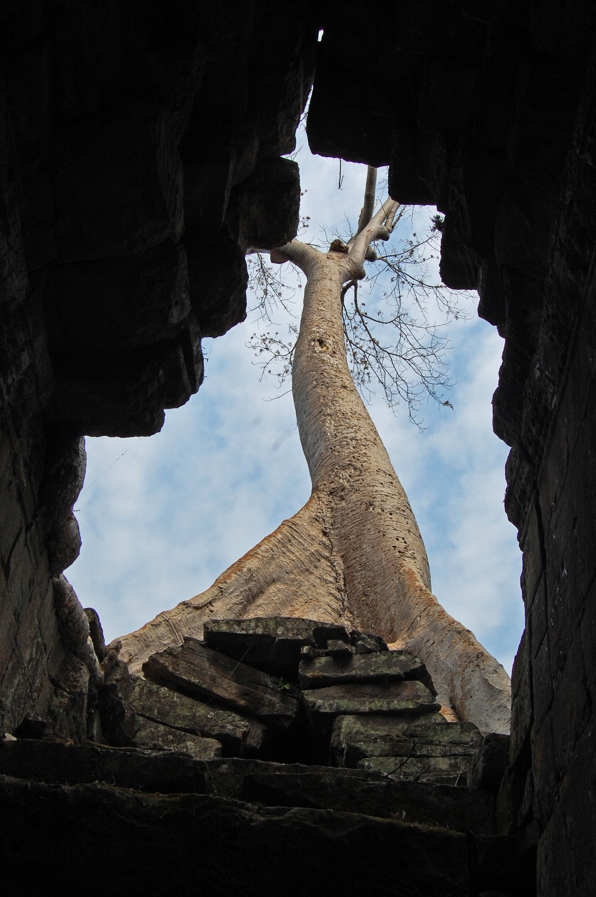 Cambodia, Angkor Wat II.