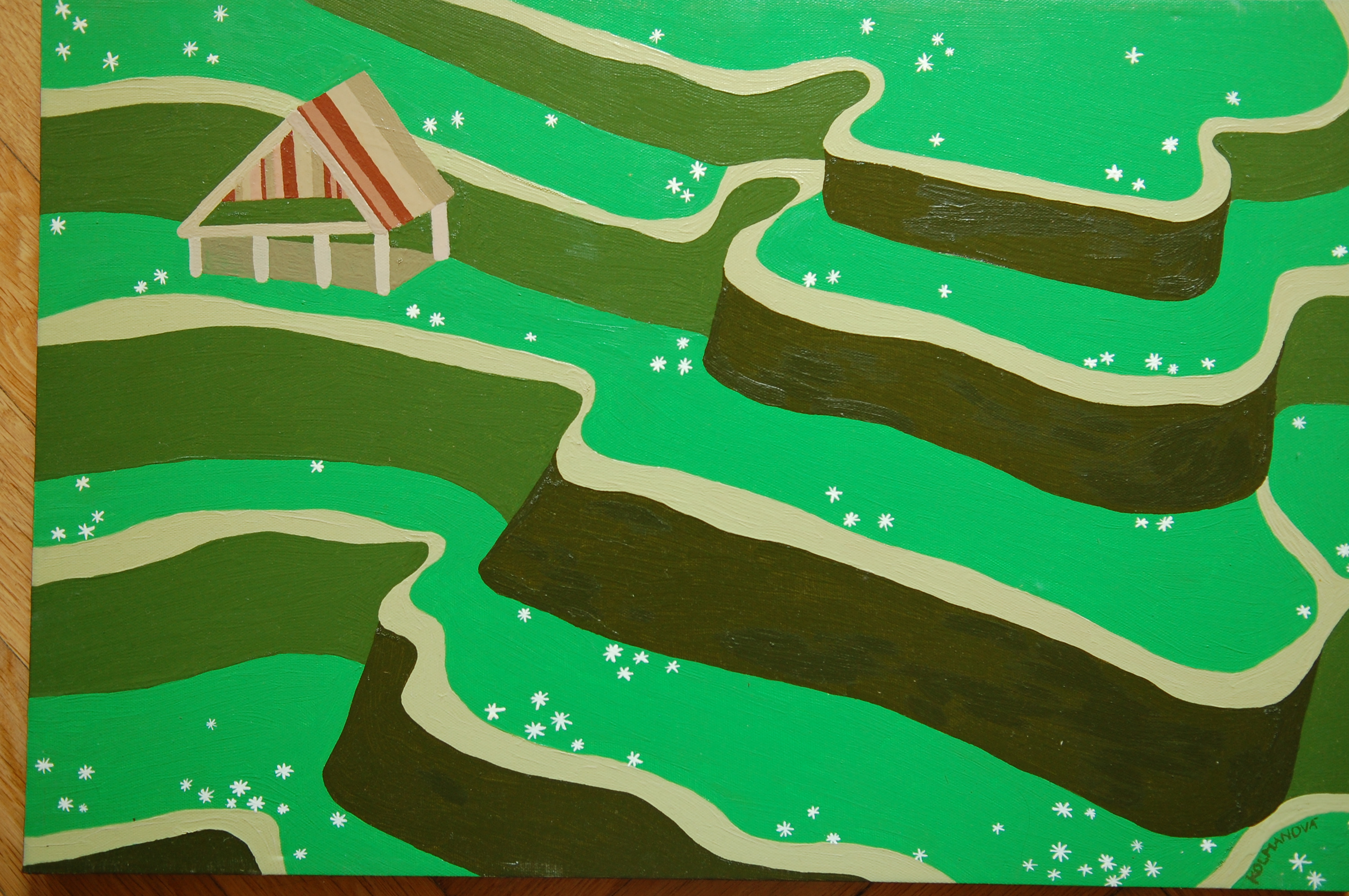 Rice paddies
