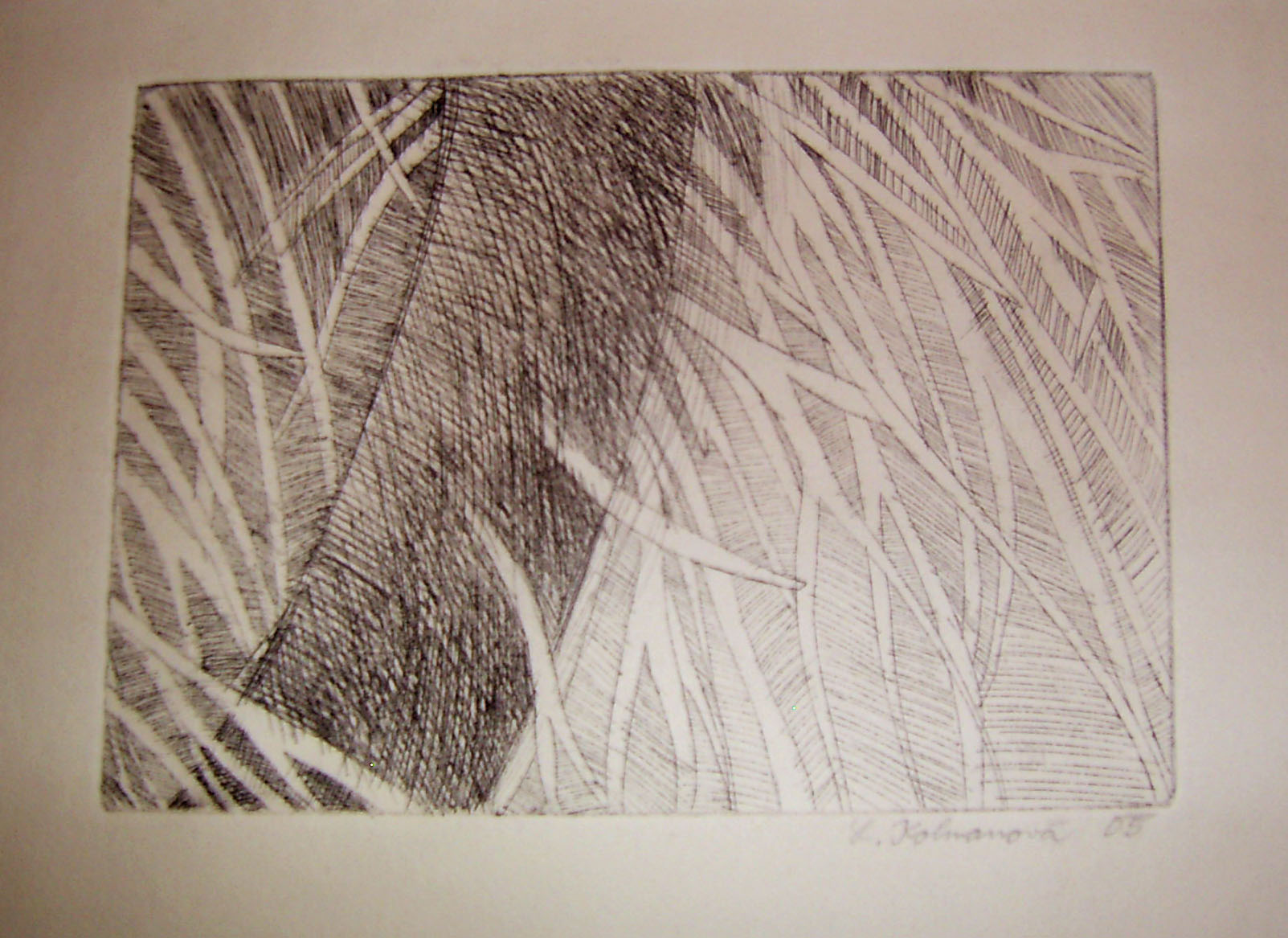 Trees II.